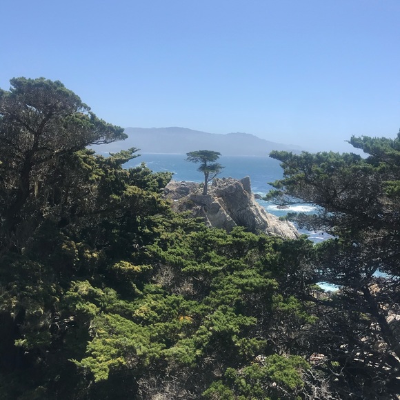 Meet your Posher, Riley - Picture 4 of 5